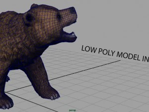 orso Modello 3D