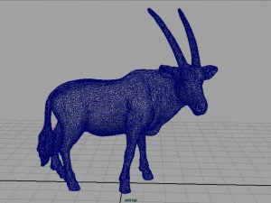 oryx 3D Model