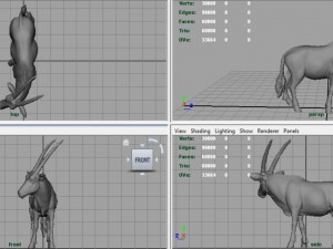oryx 3D Model