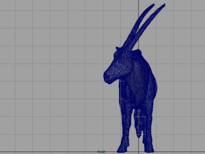 oryx 3D Model