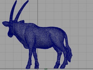 oryx 3D Model