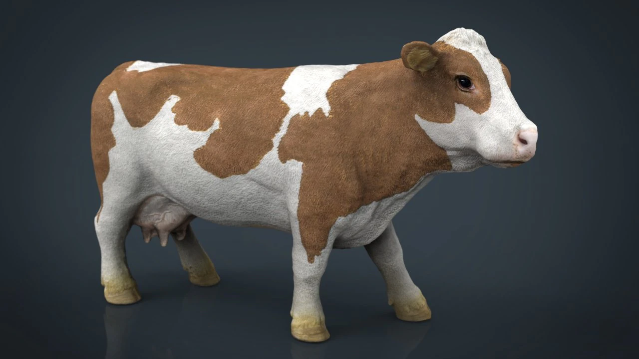cow 2 3D Model .c4d .max .obj .3ds .fbx .stl .blend 