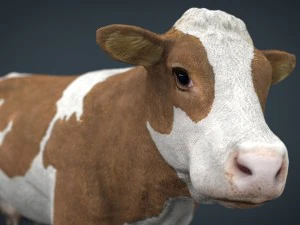 cow 2 3D Model