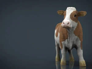 cow 2 3D Model