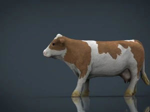 cow 2 3D Model