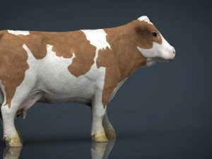 cow 2 3D Model
