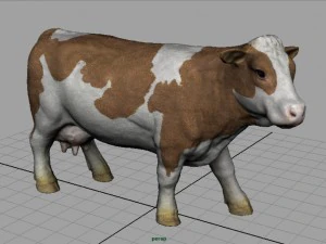 cow 2 3D Model