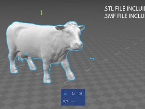 cow 2 3D Model