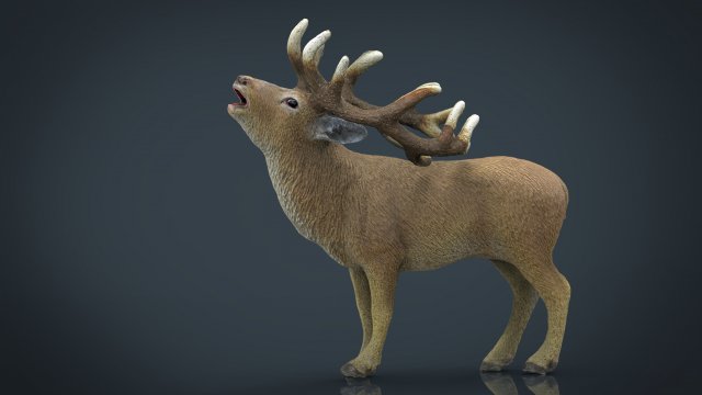 deer 3D Model .c4d .max .obj .3ds .fbx .stl .blend 