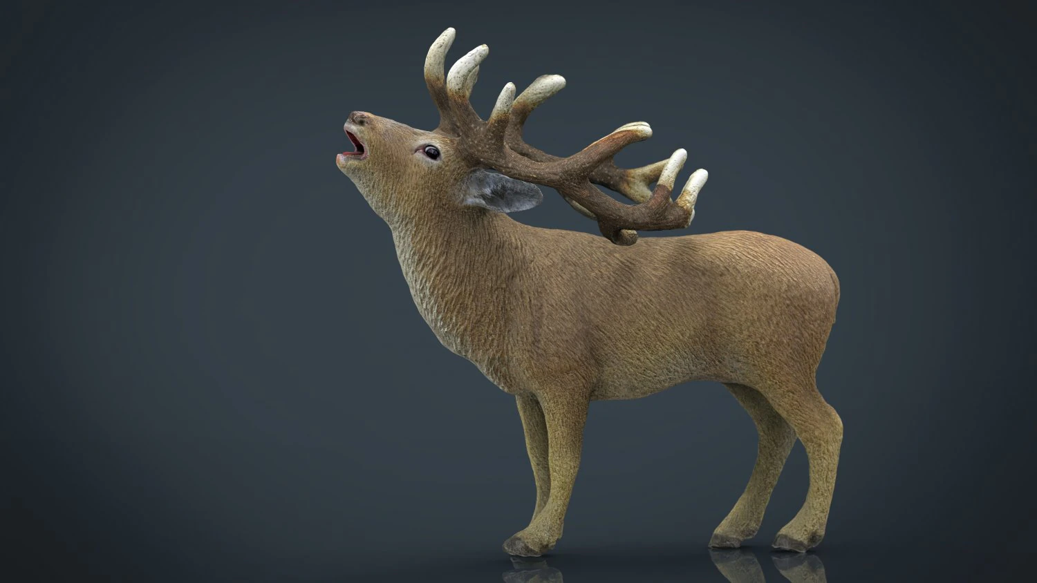 deer 3D Model .c4d .max .obj .3ds .fbx .stl .blend
