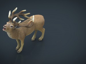 deer 3D Model