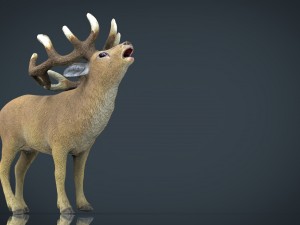 deer 3D Model