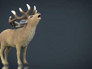 deer 3D Model