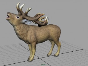 deer 3D Model