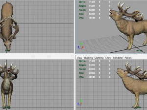 deer 3D Model