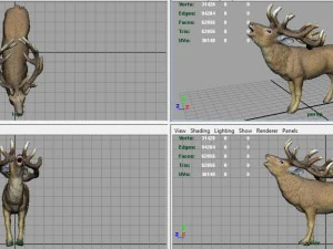 deer 3D Model