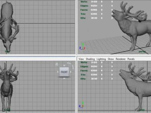 deer 3D Model