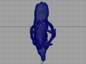 deer 3D Model