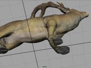deer 3D Model