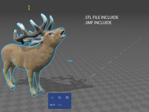 deer 3D Model