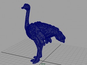 ostrich 3D Model