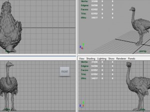 ostrich 3D Model