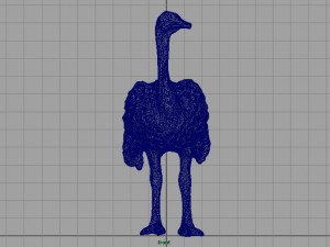 ostrich 3D Model