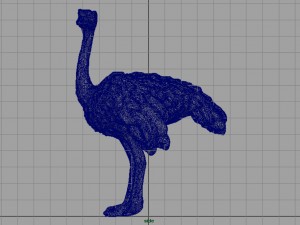 ostrich 3D Model