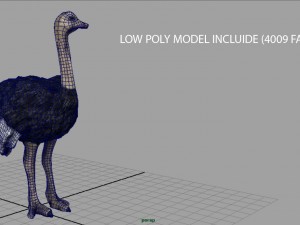 ostrich 3D Model