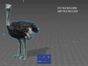 ostrich 3D Model