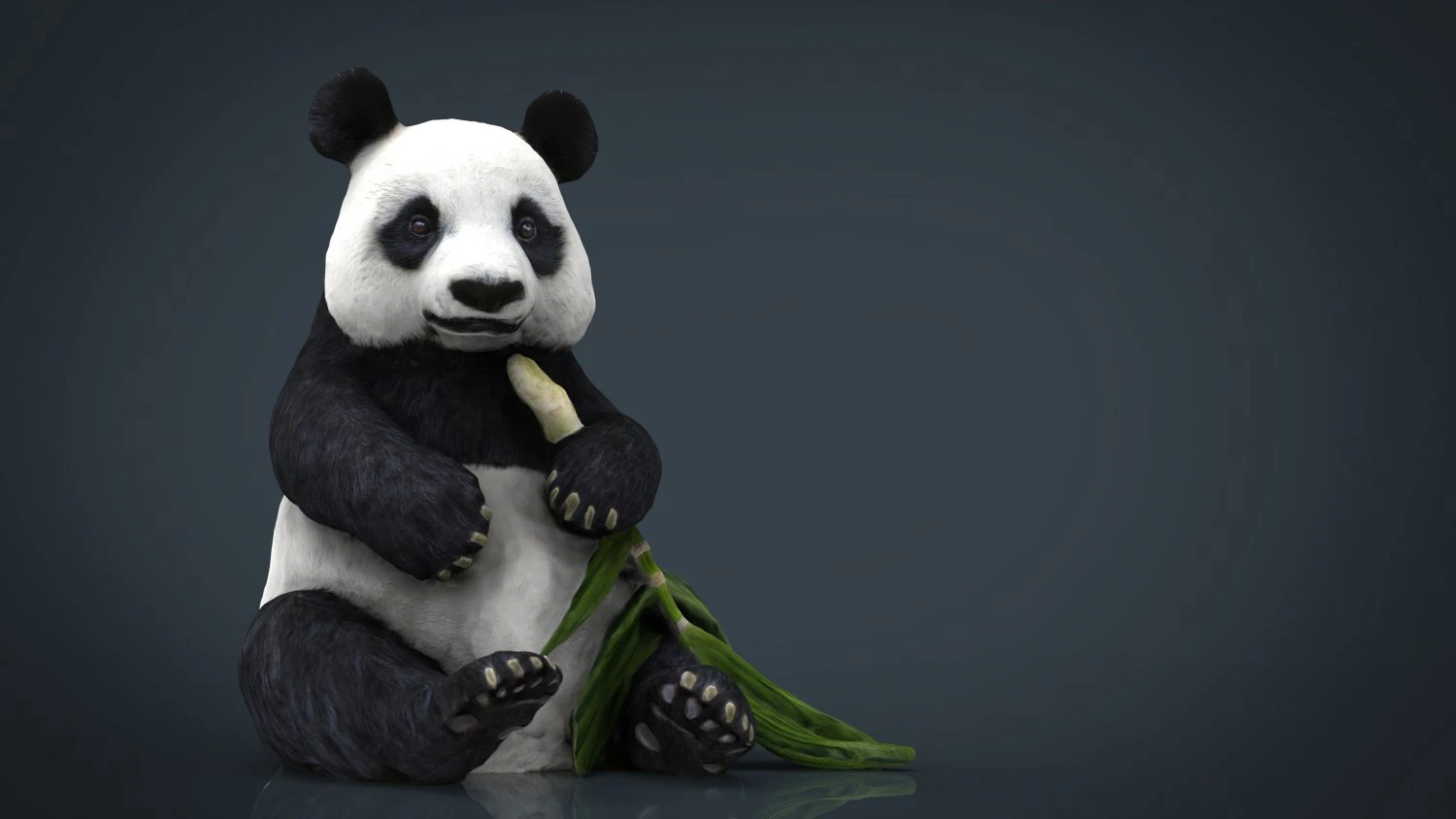 panda 3D Model .c4d .max .obj .3ds .fbx .stl .blend 