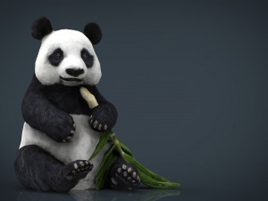 panda Model 3D