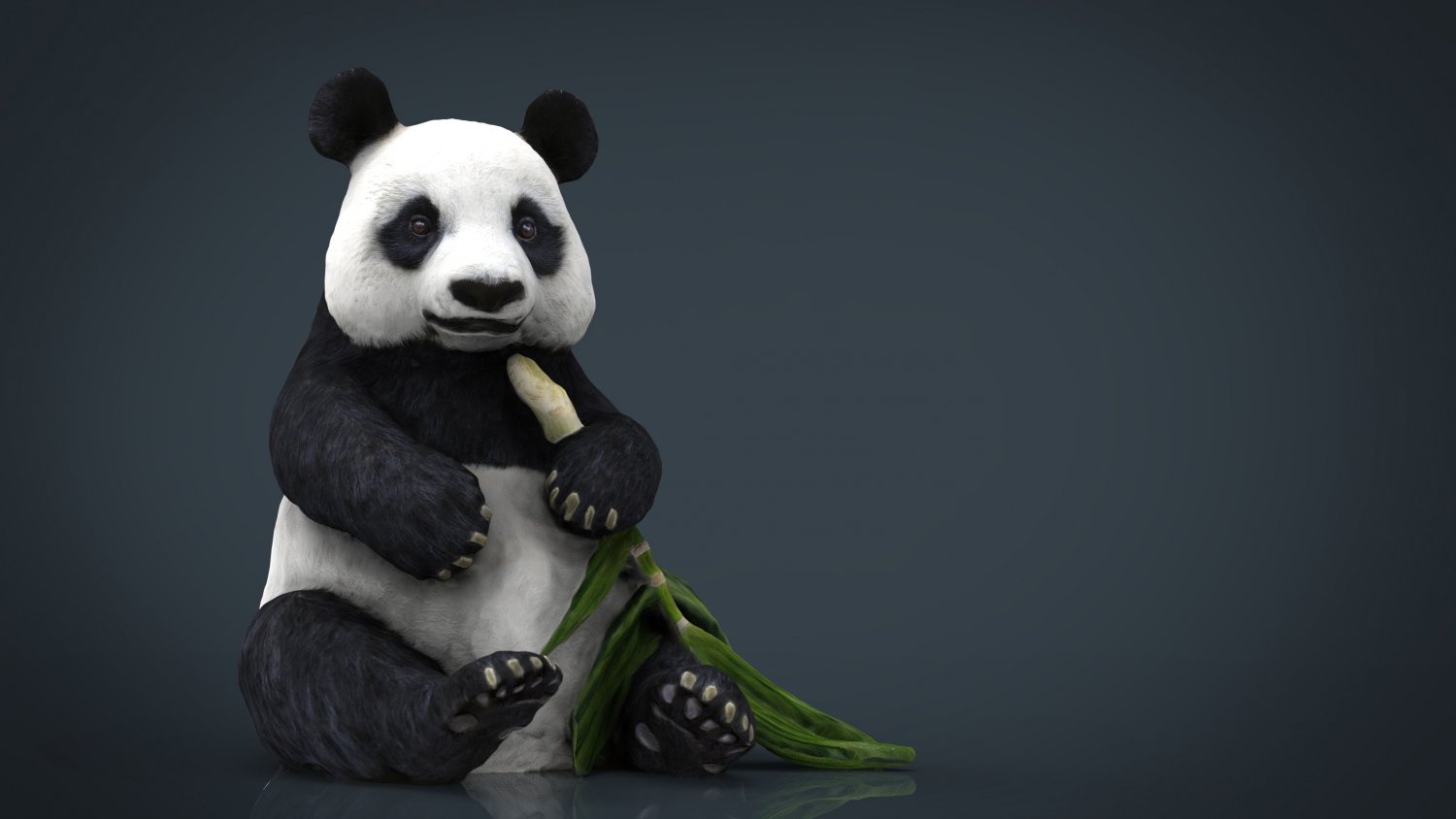 PANDA 3D Model in Bear 3DExport