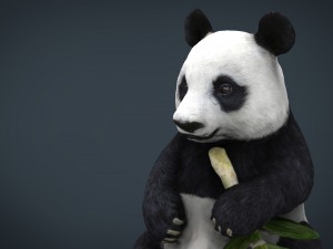 panda 3D 模型
