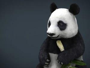 panda 3D Model