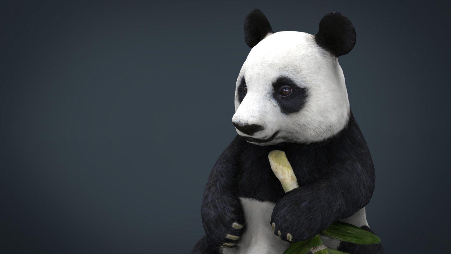 Панда на узбекском языке. Панда 3д. Панда 3д модель. Панда 3 д моделирование. 4d модель Панда.