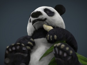 panda 3D 模型