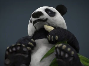 panda 3D Model
