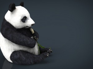 panda 3D 模型
