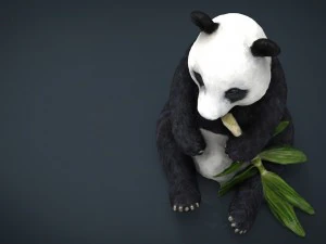 panda 3D Model