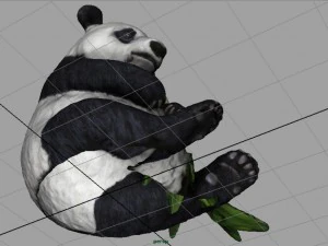 panda 3D Model