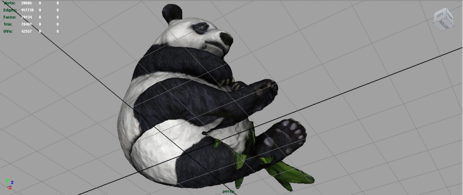 animal age converter panda