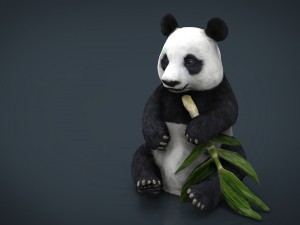 panda 3D 模型