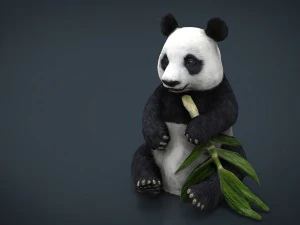 panda 3D Model