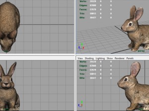 rabbit 3D 모델