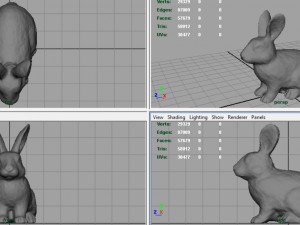 rabbit 3D 모델