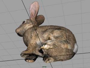 rabbit 3D 모델