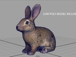 rabbit 3D 모델