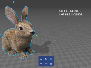 rabbit 3D 모델