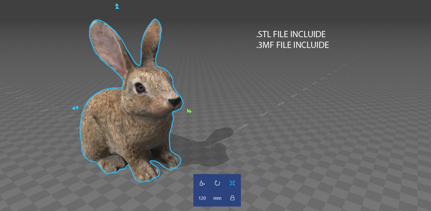 Рэббит 3. Кролик 3д. Кролики 3d игра. Кролик Питер 3д модель. Rabbit 3д Print.